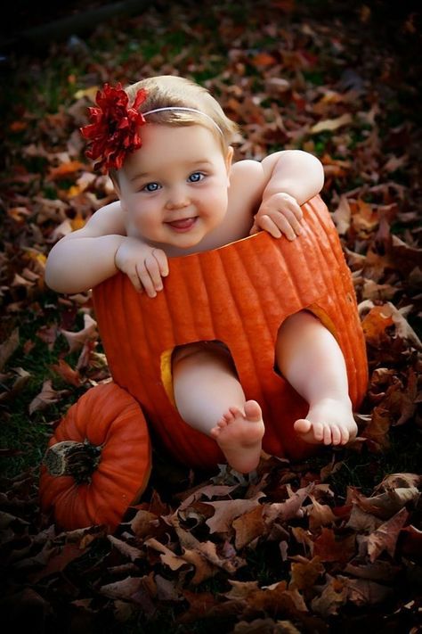 Oh my word. I so want to do this. Halloween Baby Pictures, Fall Baby Pictures, 6 Month Baby Picture Ideas, Baby First Halloween, Cool Baby, Foto Baby, Holiday Baby, Halloween Photos