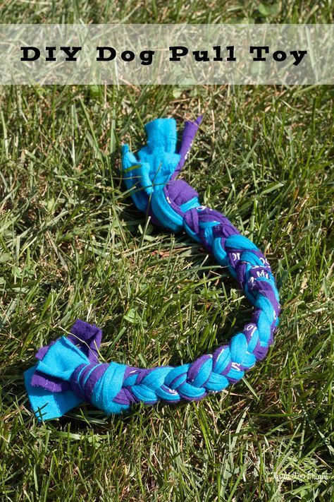 Dog Toy Diy, Handmade Dog Toys, Homemade Dog Toys, Diy Dog Toys, Toy Diy, Diy T Shirt, Rottweiler Puppies, Dog Crafts, Dog Items