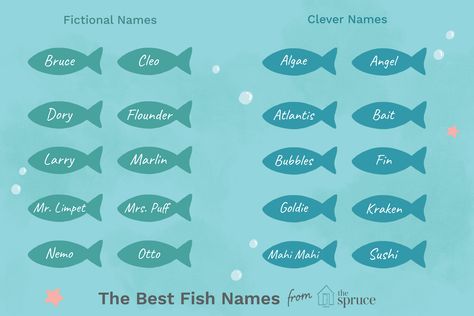 Beta Fish Names, Goldfish Names, Fish Names, Cute Pet Names, Turtle Names, Beta Fish, Cool Fish, Aesthetic Names, Fish Supplies