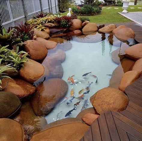 Natural Koi Pond, Kolam Air, Kolam Koi, Fish Pond Gardens, Taman Air, Garden Pond Design, Outdoor Ponds, Diy Pond, Pond Waterfall