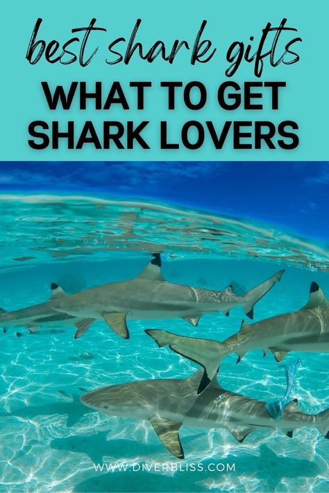 Do you love sharks or know anyone who is obsessed with them? If you’re looking for unique shark presents, then click here for the best gifts for shark lovers. From gift ideas for your home to personalized gifts, this list of shark gifts will have everything you need to make any shark lover happy. Shark Gifts For Women, Gifts For Shark Lovers, Marine Biology Gifts, Ocean Gift Ideas, Shark Presents, Shark Merchandise, Sharks In Love, Shark Gift Ideas, Shark Jokes