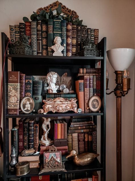 #bookish #darkacademia #darkcottagecore #bookshelf #darkacademiadecor #victorian #vintage Bookshelf Styling Vintage, Library Bedroom Aesthetic, Academia Bookshelf, Dark Academia Apartment, Dark Academia Bookshelf, Dark Academia Room Ideas, Gothic Library, Library Bedroom, Dark Academia Decor