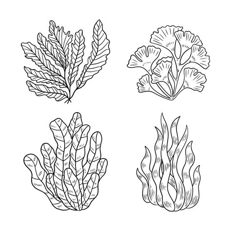 Free Vector | Hand drawn seaweed outline illustration Seaweed Outline, Seaweed Illustration, Seaweed Hair, Hair Illustration, Lino Art, Outline Illustration, Vector Hand, Small Business Ideas, Linocut