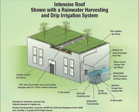 Roof Garden Systems | phot0 Living Green Roof, Water Collection System, Green Roof System, Water From Air, Water Harvesting, Rainwater Harvesting System, Living Roofs, Drip Irrigation System, Water Collection