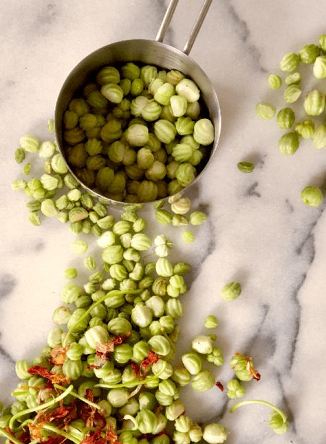 They are hot and peppery raw, but pickled they are the perfect homemade alternative to capers. They may be known by their alternative name is “Poor Man’s Capers, but are by no means inferior. Gherkin Recipe, Nasturtium Capers, Marble Bench, Preserving Foods, Poor Man, Food Preservation, Measuring Cup, Preserving Food, Week Meal Plan