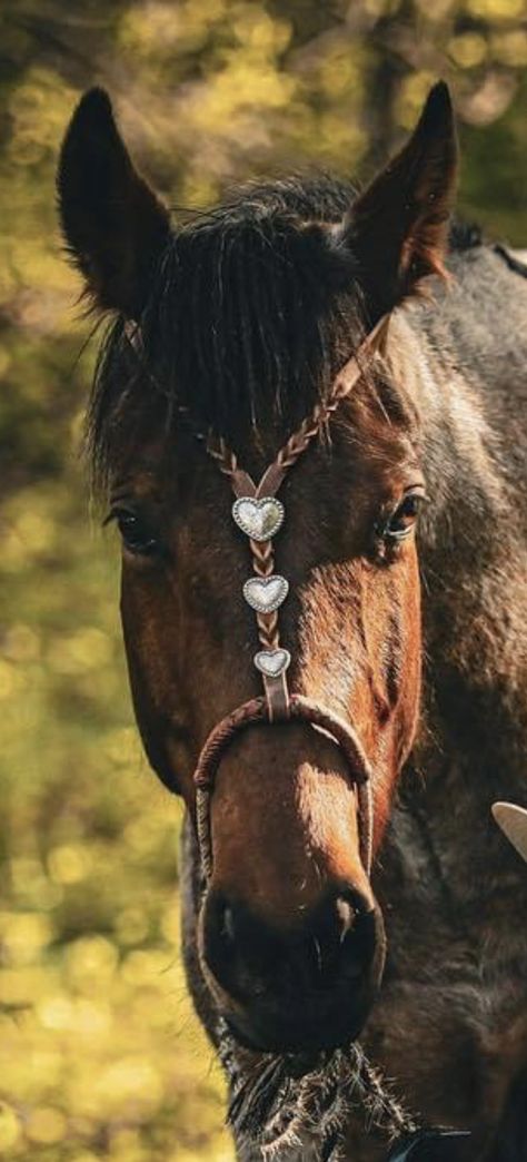 Leather Horse Tack, Western Things, Horse Ownership, Baby Horse, Western Horse Saddles, Horse Games, Classic Cowboy, Cowboy Gear, Horse Things