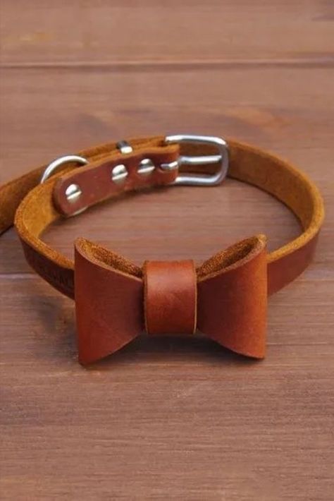 Cool Things For Dogs, Men's Leather Wallet, Leather Toys, Leather Wedding Gifts, Craft Gift Ideas, Birthday Craft, Leather Working Projects, Dog Accesories, Mom Best Friend