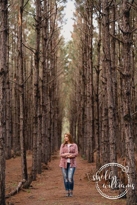 Pine trees definitely get overlooked... they're simple, have no leaves, yet somehow look awesome in photographs. Photoshoot In Pine Trees, Photography Poses With Trees, Vagamon Pine Forest, Family Pictures In Pine Trees, Poses With Trees Picture Ideas, Pine Forest Photoshoot Ideas, Trail Photoshoot Ideas, Pine Tree Photography, Pine Tree Photoshoot