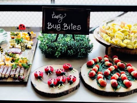 Entomology Birthday Party, Bugging Out Birthday, Bug Party Snacks, Bug Food Ideas For Kids, Insect Theme Birthday Party, Bug Birthday Party Food, Bug First Birthday Party, Bugs Life Birthday Party, Cicada Party