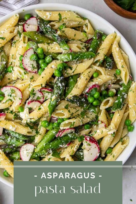 This creamy asparagus pasta salad is the perfect side dish for a spring potluck, summer BBQ, or a simple meal prep idea for healthy lunches. It’s full of bright green color, loaded with veggies, and covered in a rich and flavorful lemon ricotta dressing. Pasta Salad With Veggies, Ricotta Pasta Salad, Spring Potluck, Ricotta Salad, Kay Nutrition, Salad Sides, Lemon Asparagus Pasta, Salad With Asparagus, Asparagus Pasta Salad