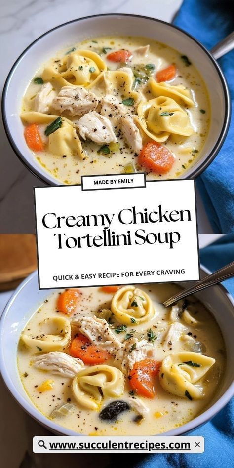 Treat yourself to this Savory Creamy Chicken Tortellini Soup that’s bursting with flavor! Combining the goodness of chicken, cheese-filled tortellini, and a creamy broth, this soup is the perfect dish for family gatherings or a cozy night in. Soup With Chicken Recipes Crock Pot, Broccoli Cheese Tortellini Soup, Tortellini Chicken Noodle Soup, Roasted Garlic Cream Tortellini, Tortellini And Chicken Soup, Cheesy Chicken Tortellini Soup, Easy Tortellini Recipes Soups, Creamy Spinach Tortellini Soup, Crockpot Tortellini Soup Recipes