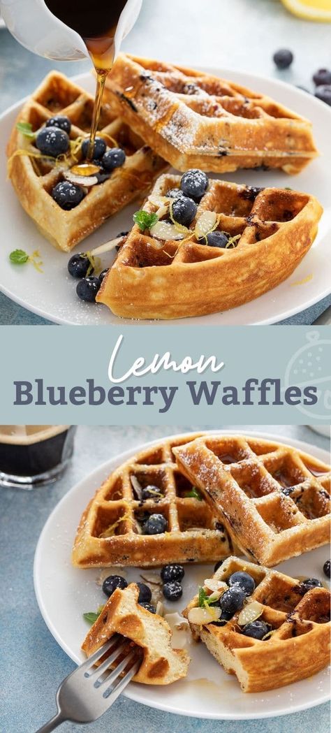 Blueberry Lemon Waffles, Mini Blueberry Waffles, Lemon Waffles Recipe, Blueberry Waffles Easy, Healthy Blueberry Waffles, Blueberry Waffle Recipe, Blueberry Lemon Breakfast, Lemon Waffles, Blueberry Waffles Recipe