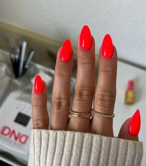 Jellyfish Candy DIVA #234 – DND Gel Dnd Red Gel Polish Colors, Nail Polish Colours, Nail Tip Designs, Band Nails, Dnd Gel Polish, Fish In The Sea, Nail Drills, Alternate Reality, Nails Nail Polish