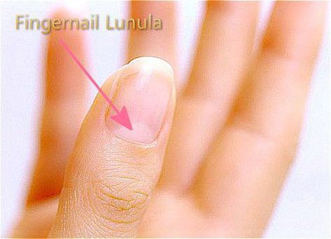 Meaning of fingernail lunula (little moon) and get if you are healthy through observing color, number and size of the moon. Also get the meaning of missing and disappearing fingernail moon. Nail Moons Health, Moons On Fingernails, Fingernail Health, Moon Meaning, Nail Polish Trends, Neck And Back Pain, Palm Reading, Nail Health, Feeling Sick