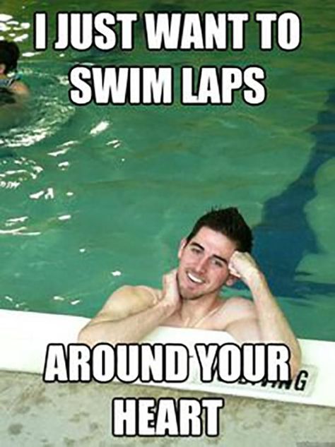 50 Hilarious Pool Memes To Get You Excited For The First Day Of Summer Swimming Pick Up Lines, Swimmer Memes, Swimming Jokes, Swimming Funny, Flirty Memes, Swimming Motivation, Swimming Memes, Swimming Pictures, Funniest Pictures