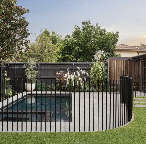 Poolside Planting, Pool Fencing Landscaping, Fence Around Pool, Pool Fencing, Outdoor Pool Area, Pools Backyard Inground, House Pool, Architectural Garden, Fencing Ideas