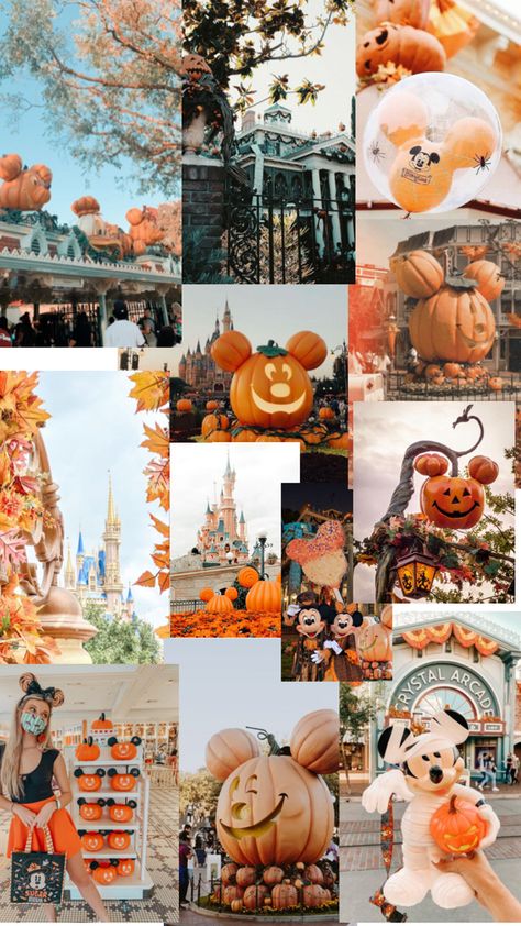 The Beauty of fall time in Disney parks Disneyland Halloween, Fall Time, Disney Parks, The Beauty, Disneyland, Aesthetic Wallpapers, Halloween, Disney, Beauty