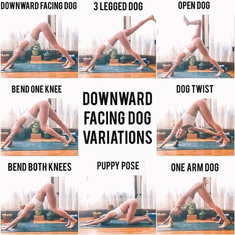 Downward Dog Yoga, Popular Yoga Poses, Yoga Girls, Puppy Pose, Yoga Kundalini, Body Transformations, Yoga Tutorial, Downward Facing Dog, Dog Yoga