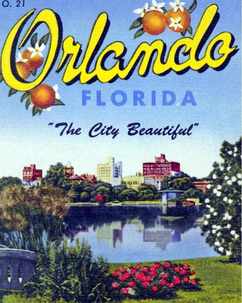 🍊 #TBT to the postcards snowbirds were sending to their grandkids up north in the 1950s. Lake Eola, Orlando Hotel, Downtown Orlando, State Of Florida, Vintage Florida, Orlando Florida, Old Florida, Sunshine State, Central Florida