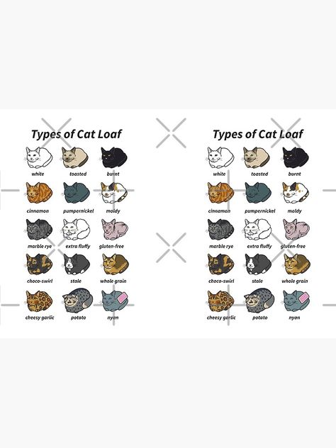 Types of Cat Loaf by USClaireForce Cat Loaf Drawing Reference, Types Of Cat Loaf, Crochet Loaf Cats, Cat Loafing, Information About Cats, Different Types Of Cats, Cat Loaf, Types Of Cats, Meow Meow