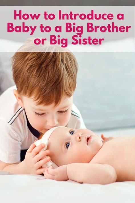 How to Introduce a Baby to a Big Brother or Big Sister | HubPages How To Be A Big Brother, How To Be A Better Big Sister, Big Sister Baby Brother, Newborn Brother And Big Sister, How To Be A Big Brother Dog, Mom Life Funny, New Big Brother, Ways To Say Hello, Mommy Belly