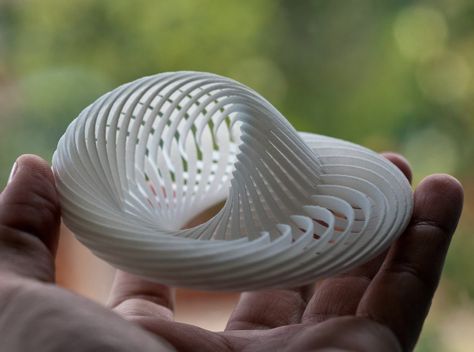 nautilus shell inspired art - Google Search Architecture Lessons, Moebius Strip, 3d Printing Architecture, 3d Printing Business, 3d Printing Projects, 3d Printing Service, Parametric Design, 3d Laser, Futuristic Architecture