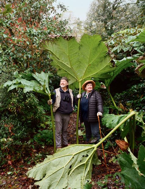 Nature Challenge, Farm Plants, The Botanist, City Nature, Red Hydrangea, Southern England, Saving The Planet, Seed Bank, Overseas Travel