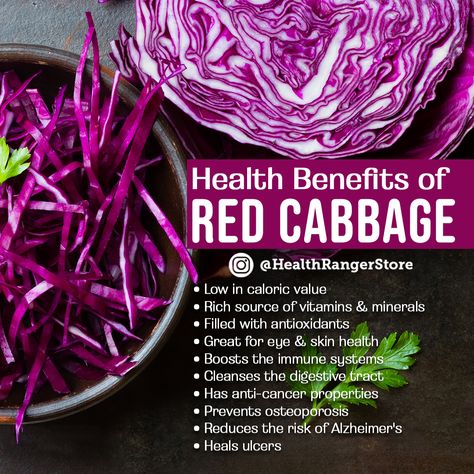 Red cabbage has quite a few beneficial effects as it is rich in a number of nutrients and vitamins. Benefits Of Red Cabbage, Drinking Recipes, Heart Diet, Low Sodium Diet, Lunch Meat Recipes, Recipes Around The World, Balsamic Recipe, Recipes Sausage, Recipes Pasta