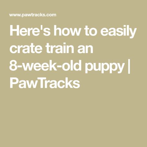 Here's how to easily crate train an 8-week-old puppy | PawTracks Crate Training Schedule, Crate Train, Crate Training Puppy, Puppy Proofing, Puppy Pads, Having Patience, Crate Training, Training Your Puppy, American Kennel Club