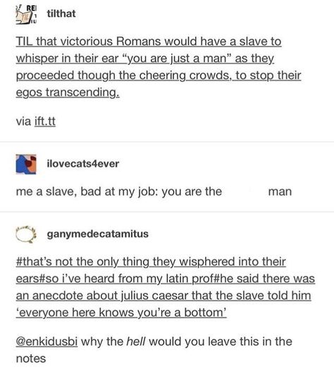 Court Jester Memes, Court Jester Tumblr, Court Jester Tumblr Post, Court Jester Art, History Tumblr Funny, History Tumblr Posts, Jester Tumblr, Funny History Facts, History Tumblr