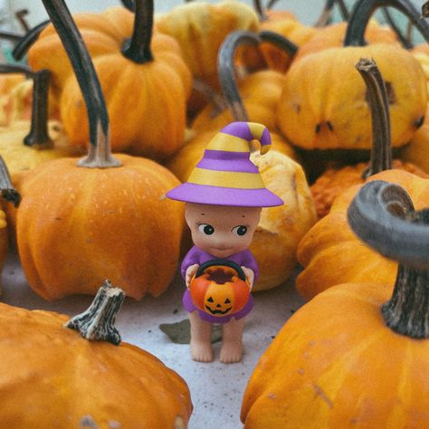 pumpkin sonny angel pumpkin patch fall autumn gillmore girls cute trinket Pumpkin Patch Aesthetic Wallpaper, Fall Sonny Angel, Halloween Sonny Angel Pfp, Halloween Sonny Angel, Angel Pumpkin, Angel Witch, Sony Angels, Juliet Starling, Feral Kittens