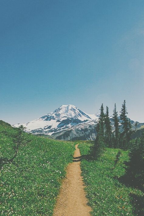 Yellow Road, Mt Baker, The Mountains Are Calling, Oh The Places Youll Go, Mountain View, Beautiful World, The Great Outdoors, Mother Nature, Wonders Of The World