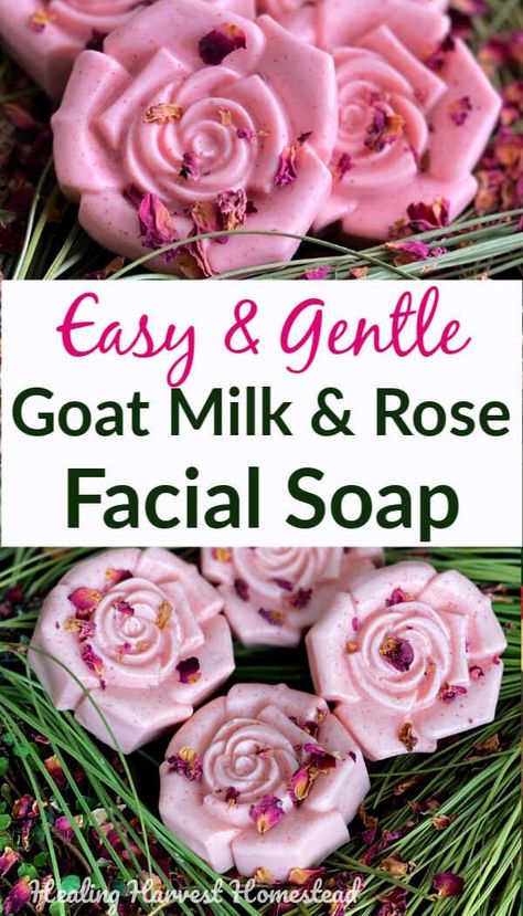 Here is an EASY and fast recipe for handmade, natural rose and goat milk soap. You can make this soap in about 15 minutes, and it’s ready to use in a couple of hours. These make excellent gifts. If you want to make soap without lye using the melt and pour soap making method, this recipe is a must try! #handmadesoap #naturalsoap #meltandpoursoap #meltpour #soap #easy #recipe #pinksoap #goatmilksoap #healingharvesthomestead Rose Soap Recipe, Facial Soap Recipe, Soap Without Lye, Goat Milk Soap Recipe, Milk Soap Recipe, Goat Milk Recipes, Easy Soap Recipes, Rose Facial, Diy Soap Recipe