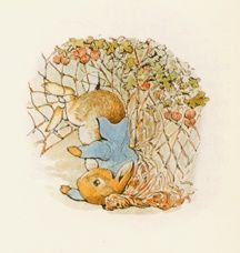 Illustrations from Peter Rabbit Scrub Wajah, Beatrix Potter Illustrations, Beatrice Potter, Young Rabbit, Tale Of Peter Rabbit, Peter Rabbit Nursery, Peter Rabbit And Friends, Rabbit Nursery, Rabbit Eating