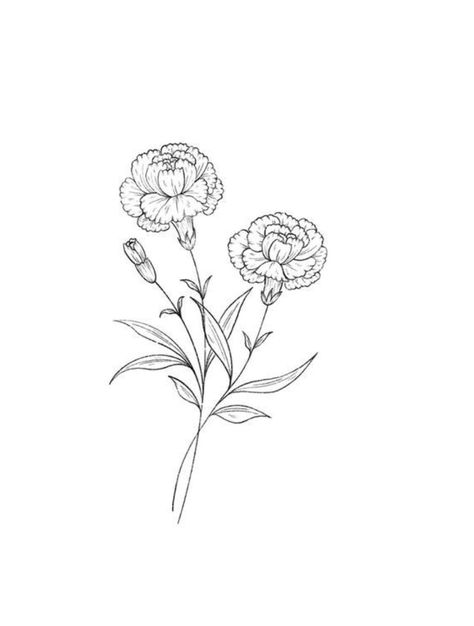 Marigold Bouquet Drawing, Delicate Marigold Tattoo, Marigold Fineline Tattoo, Fineline Marigold Tattoo, Carnation Flower Tattoo Stencil, Carnation Flower Design, Marigold Black And White Tattoo, Marigold Sketch Simple, Marigold Line Tattoo