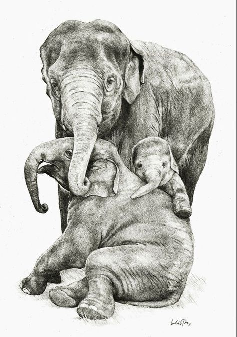 Elephant Family Drawing, Elephant Family Art, Elephant Family Tattoo, Elephant Sketch, Elephant Pictures, Elephant Illustration, Elephant Drawing, Family Drawing, Elephant Painting