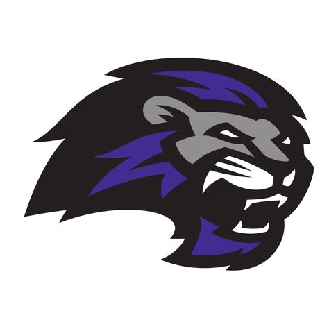 Paine College Colors | NCAA Colors | U.S. Team Colors Purple Hex, College Website, Playboy Logo, Basketball Logo, Sport Logos, College Colors, Lion Logo, Sports Logos, College Team