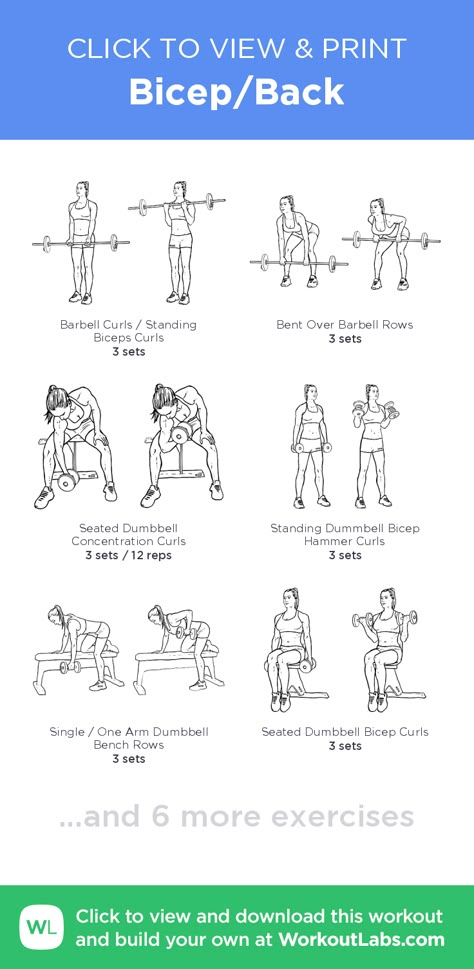 Bicep/Back – click to view and print this illustrated exercise plan created with #WorkoutLabsFit Back Biceps Forearms Workout, Easy Bicep Exercises, Back And Bicep Dumbbell Workout Women, Back And Biceps Women, Back And Bicep Free Weights, Back Bicep Workout For Women, Bicep Strength Workout, Bicep Back Workout Dumbbells, Arm Workout Women Biceps