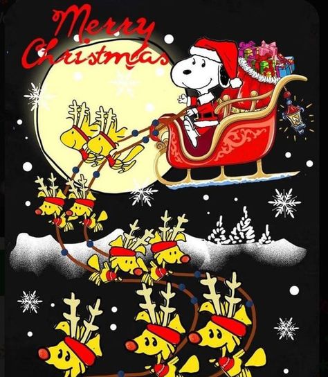 love hope and Snoopy and Joe cool Snoopy Memes, Santa Jokes, Animated Christmas Pictures, Merry Christmas Animation, Snoopy Gifts, Christmas Snoopy, Photography Snow, Scary Christmas, Snoopy Collectibles