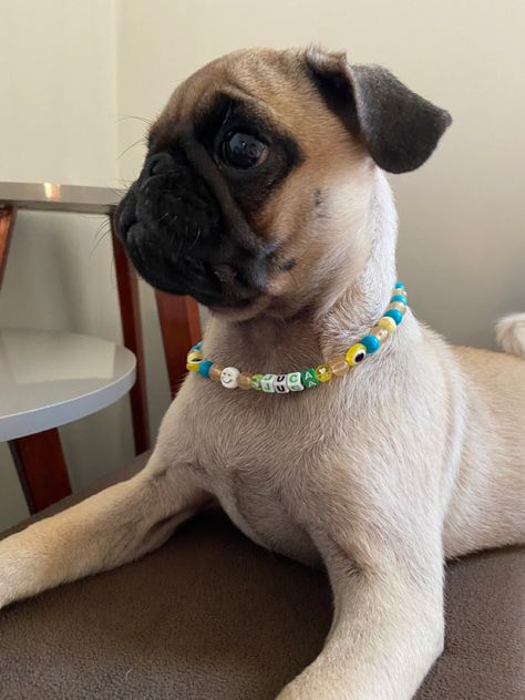 Cute Dog Collars, Dog Necklace, Beads Bracelet Design, Diy Crafts To Do, Beaded Bracelets Diy, Pug Dog, Girly Jewelry, Diy Dog Stuff, Bead Jewellery