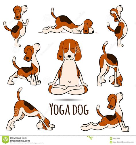 Isolated Cartoon Funny Dog Beagle Doing Yoga Position Stock Vector - Image: 86331784 Beagle Art, Animal Yoga, Puppy Obedience Training, Dog Beagle, Positive Dog Training, Yoga Illustration, Basic Dog Training, Dog Yoga, Dogs Funny