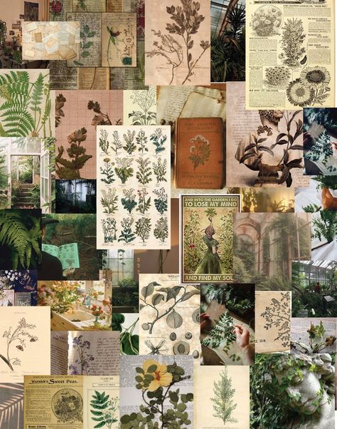 Vintage Plant Aesthetic, Botany Wallpaper, Horticulture Aesthetic, Plant Collage, Plant Collage Wallpaper, Botany Aesthetic, Forest Green Wallpaper Collage, Collage Green Aesthetic, Sage Collage Aesthetic