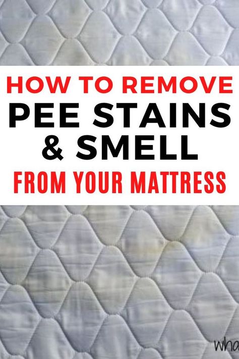 Diy Mattress Cleaner Deep Cleaning, How To Clean Pee Off Mattress, Cleaning Pee Out Of Mattress, Best Way To Clean Pee Out Of A Mattress, Deep Clean A Mattress, Clean Stained Mattress, Pee Remover Mattress, Diy Matress Cleaner Deep Cleaning, How To Remove Pee Smell From Mattress