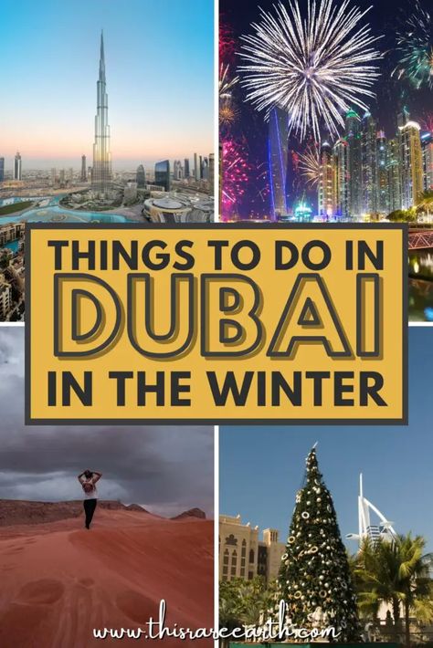 Visiting Dubai in Winter Guide [2023/2024] - This Rare Earth Dubai In Winter, What To Wear In Dubai, Visit Dubai, Dubai Travel, Botanical Gardens, Dubai, Travel Tips, Things To Do, I Am Awesome