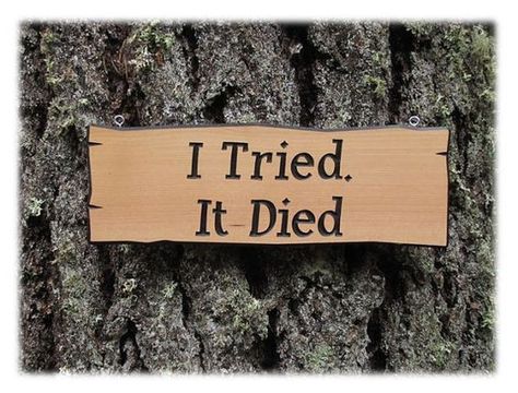 Garden Quotes Funny, Funny Garden Signs, Sherwood Forest, Garden Quotes, Farm Signs, Have Inspiration, Garden Markers, Pallet Signs, Beach Signs