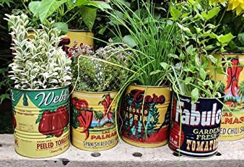 salt and pepper interiors Retro Vintage Storage Tins Set of 2 Round Canister Jar Food Utensils Table Decor (Tomato Set) : Amazon.co.uk: Home & Kitchen Food Utensils, Jar Food, Mexican Spanish, Tin Cans, Herb Pots, Mexican Decor, Floral Pocket, Storage Display, Art Storage