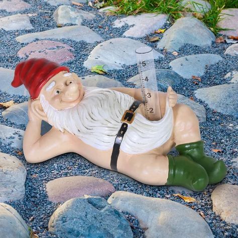 Funny Statues, Yard Gnomes, Funny Garden Gnomes, Garden Gnomes Statue, Rain Gauge, Outdoor Garden Statues, Yard Sculptures, Fairy Statues, Garden Figurines