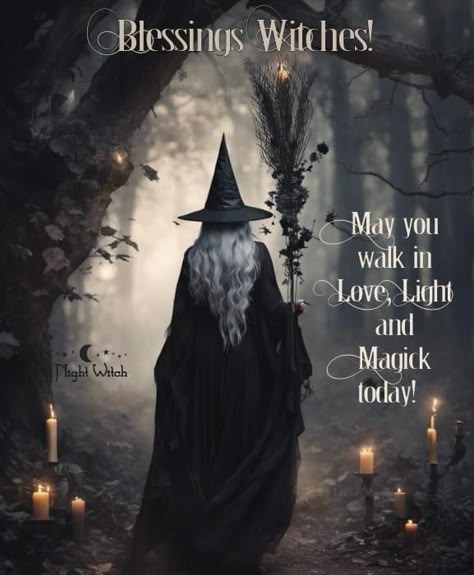 Witchy Sayings, Witch Pics, Witchcraft Quotes, Wiccan Quotes, Beautiful Witches, Witch's Kitchen, Witch History, Happy Halloween Pictures, Night Witches