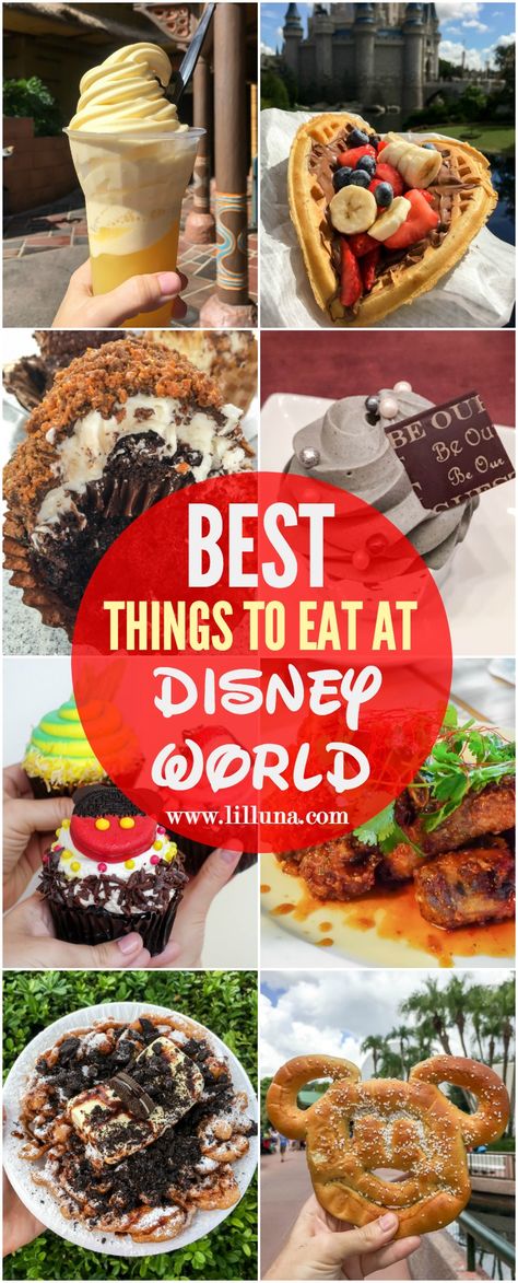 The BEST things to eat at Disney World - a delicious collection of treats, food and snacks to try at the most Magical Place on Earth! Random Animals, Texas Chili, Disney Florida, Disney Cute, Disney Recipes, Random Recipes, Disney Treats, Disney World Food, Things To Eat