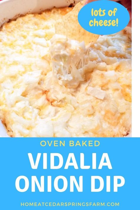 Vidalia Onion Dip is another easy dip that comes together fast and is requested by many family members and guests. It’s cheesy, creamy, and has lots of sweet onion flavor. This dip is always a party favorite and it’s hard to walk away from when served warm. #dip #vidaliaoniondip #sweetoniondip #bakeddip #hotdip #vidaliaonion #sweetvidaliaoniondip #appetizer #footballfood #gamedayappetizer #holidayfood Baked Vidalia Onion, Hot Onion Dip, Vidalia Onion Dip, Onion Dip Recipe, Baked Onions, Vidalia Onion, Easy Dip, Miracle Whip, Onion Dip